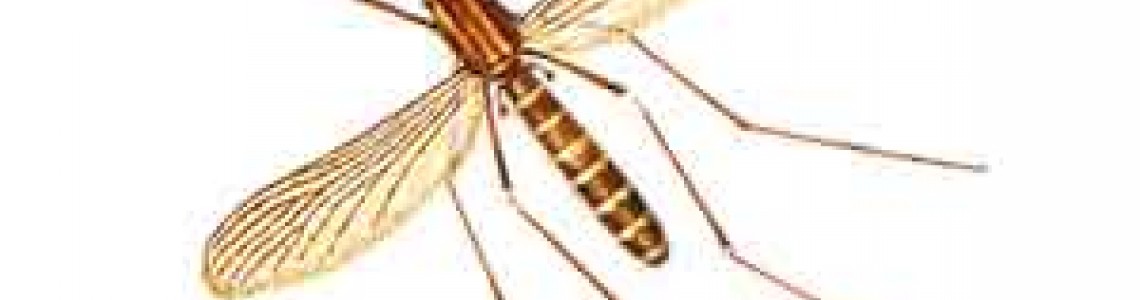 Примерна програма за борба с комарите - I