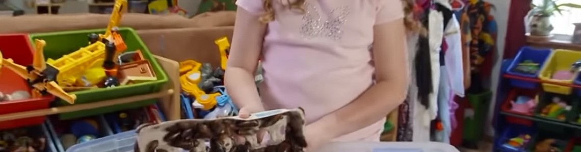 Дете колекционира хлебарки? (Видео)