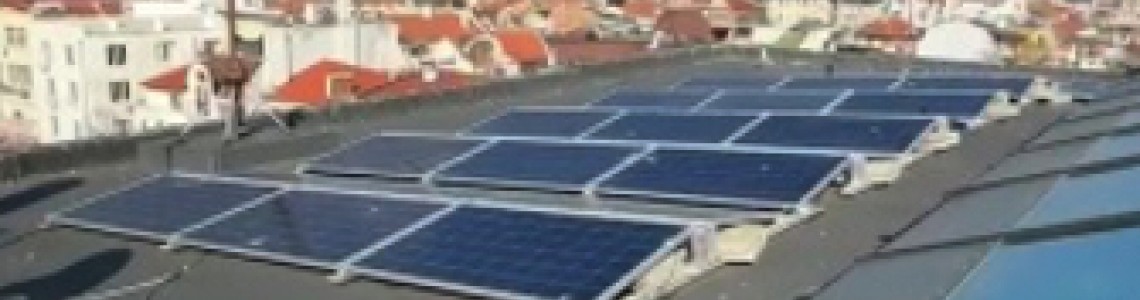 Прогонване на птици