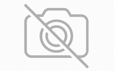 Малко известни факти за паяците. Кой е най-отровен у нас?